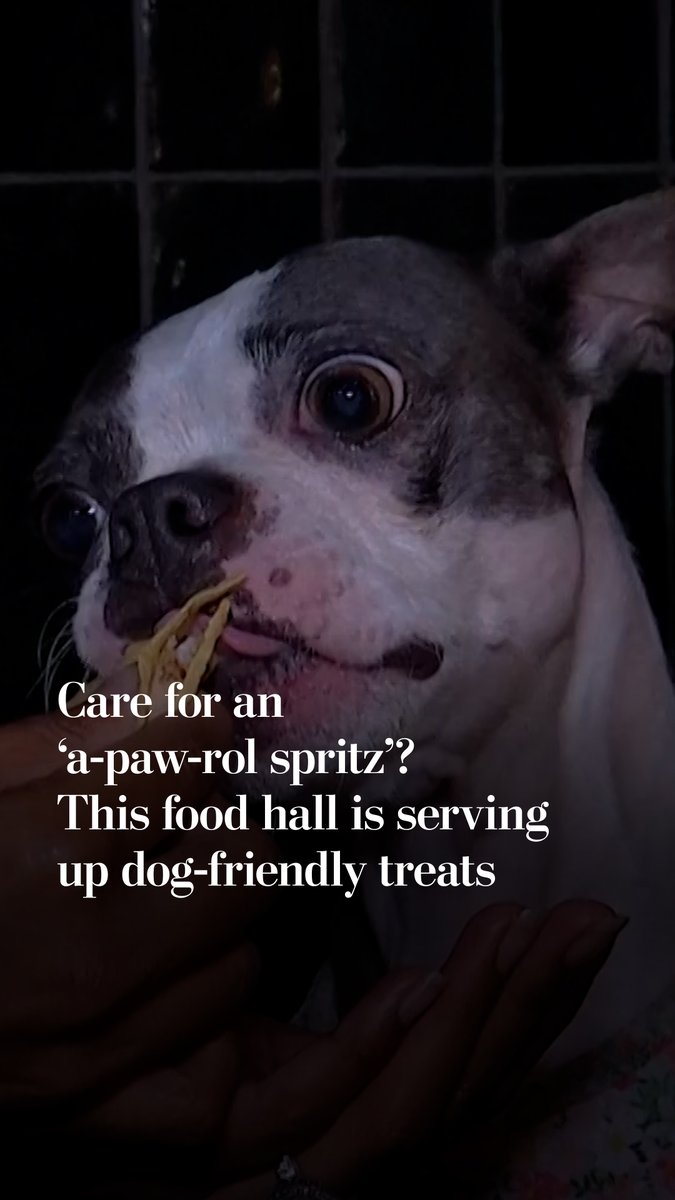 Dogs were treated to a limited canine-friendly menu at a London food hall, featuring tacos, poke bowls, pizza and specialty drinks, including a “A-paw-rol Spritz” made with carrot juice and coconut water.