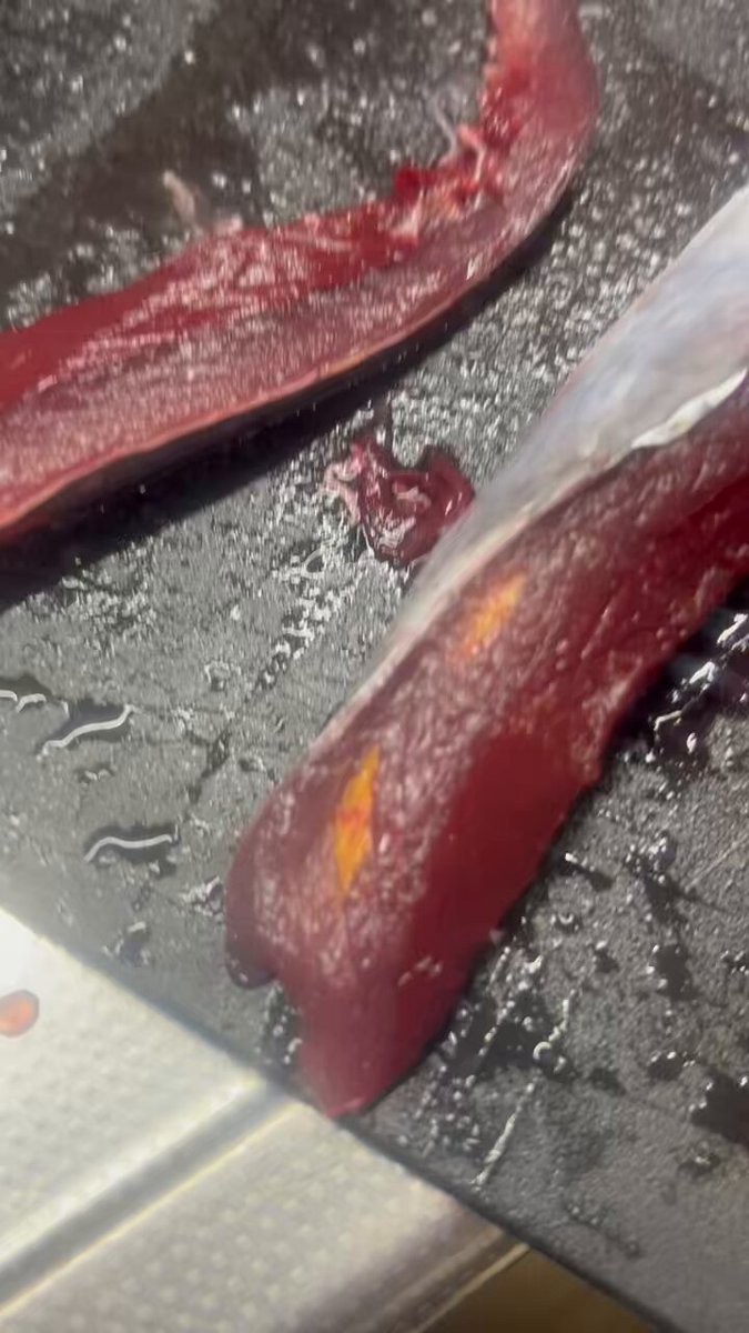 有識者求! 昨日ソーダガツオを捌いたら、黄色い繊維化のものが入ってました。 わかりにくくてすいませんがわかる方いれば教えてください！