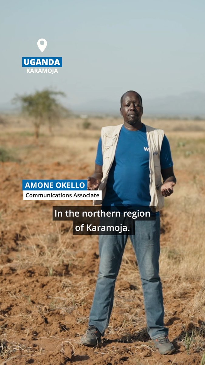 The failed rainy season in #Uganda has left over 600,000 people food insecure in the Karamoja region alone. WFP-supported assistance, delivered before the drought peaked, has helped families buy food and cushion themselves against the worst impacts. As #ElNino now worsens conditions, teams are scaling assistance to help families cope.