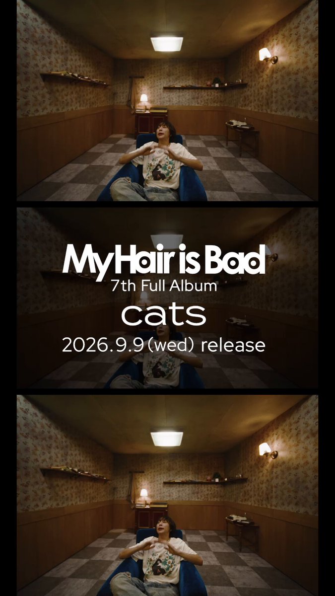 【「cats」全曲トレーラー公開！】 9.9(水)リリース 7th Album「cats」 🎵全曲トレーラー公開！ 🐱9.9(水)7th Album「cats」 🛋️「青いソファの上で」 先行配信 MV 🍝「パスタに涙」先行配信 ⚾️ライブダイジェスト期間限定公開