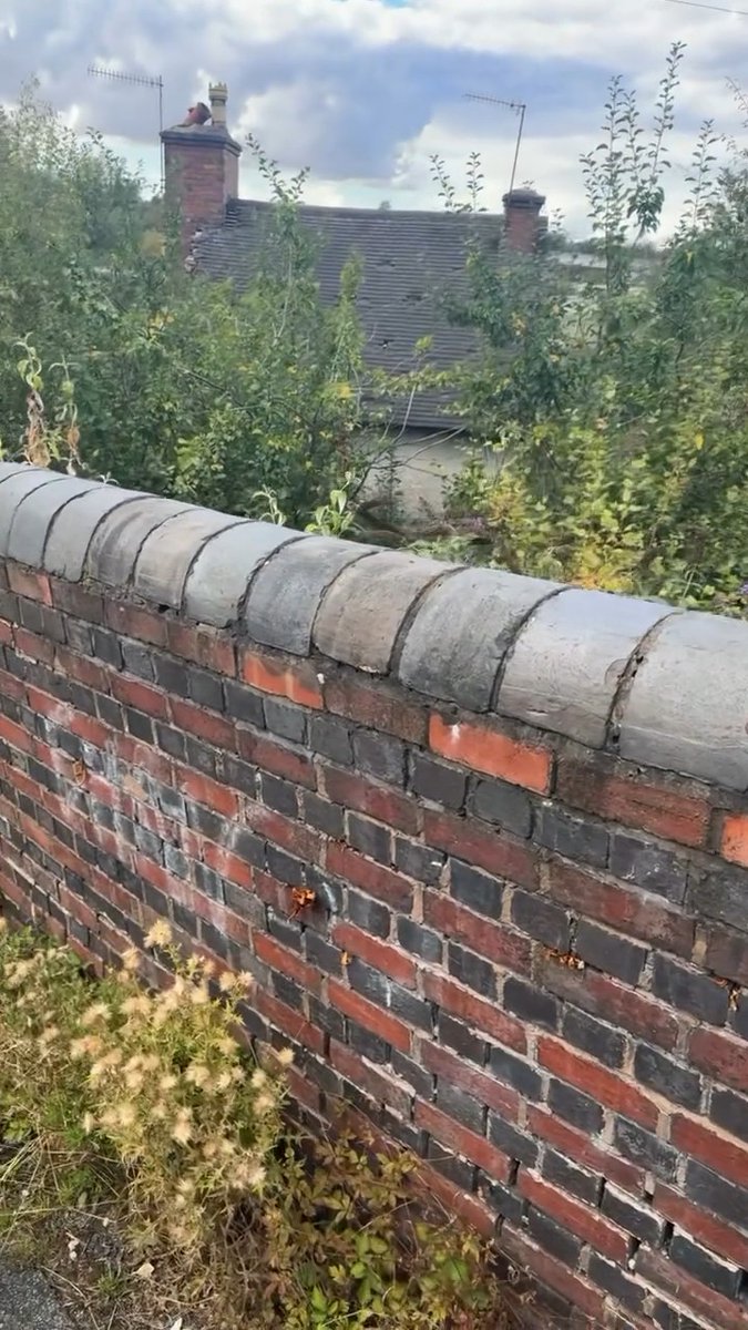 “How can I buy a house and I can’t find it?” — Isaac Fayose left in shock after discovering that one of the properties he bought at auction is located in a bushy area in the UK.