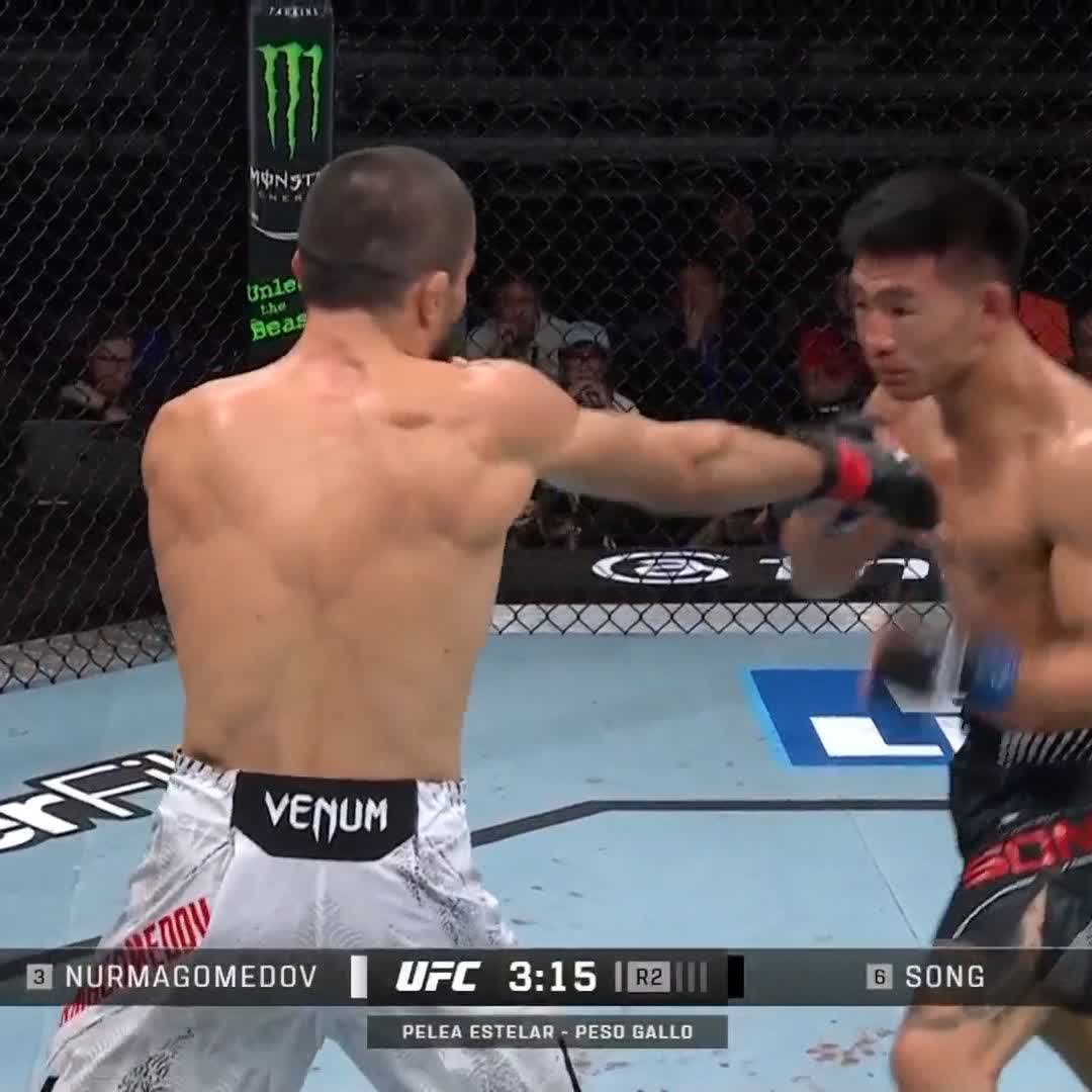 SONG YADONG JUST KNOCKED OUT UMAR NURMAGOMEDOV OH MY GOD UMAR WAS OUT COLD 🤯 #UFCShanghai