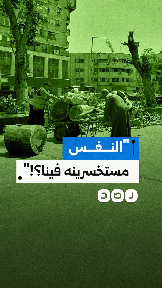 سيدة تهاجم قطع الأشجار في مصر: "حتى النفس النظيف بتستخسروه في الشعب"