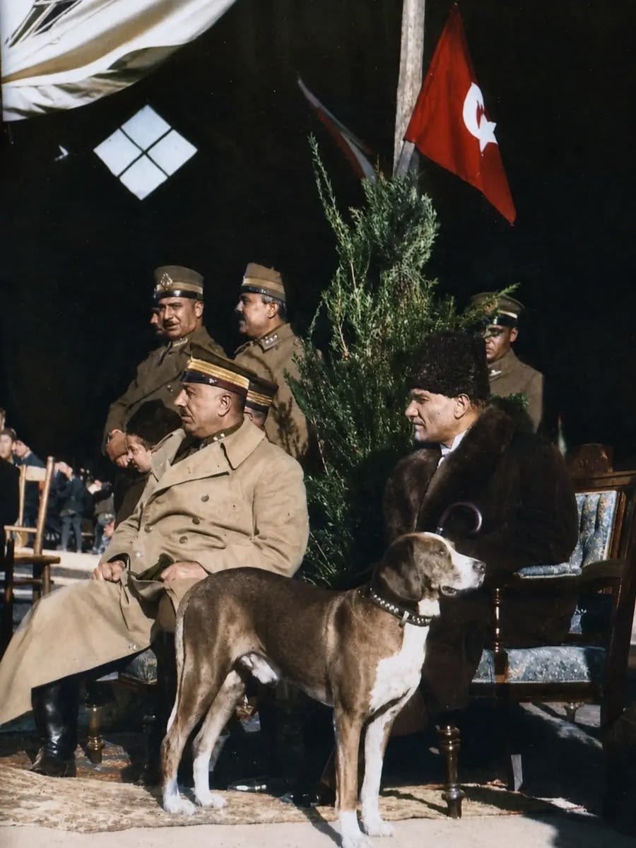 30Ağustos; Türk Milleti’nin esaret karşısında hürriyetini, yokluk içinde kudretini ilan ettiği gündür. Başta Mustafa Kemal Atatürk olmak üzere bu zaferi bize armağan eden tüm kahramanlarımızın aziz hatırası önünde saygıyla eğiliyoruz. Zafer Bayramımız Kutlu Olsun. 🇹🇷