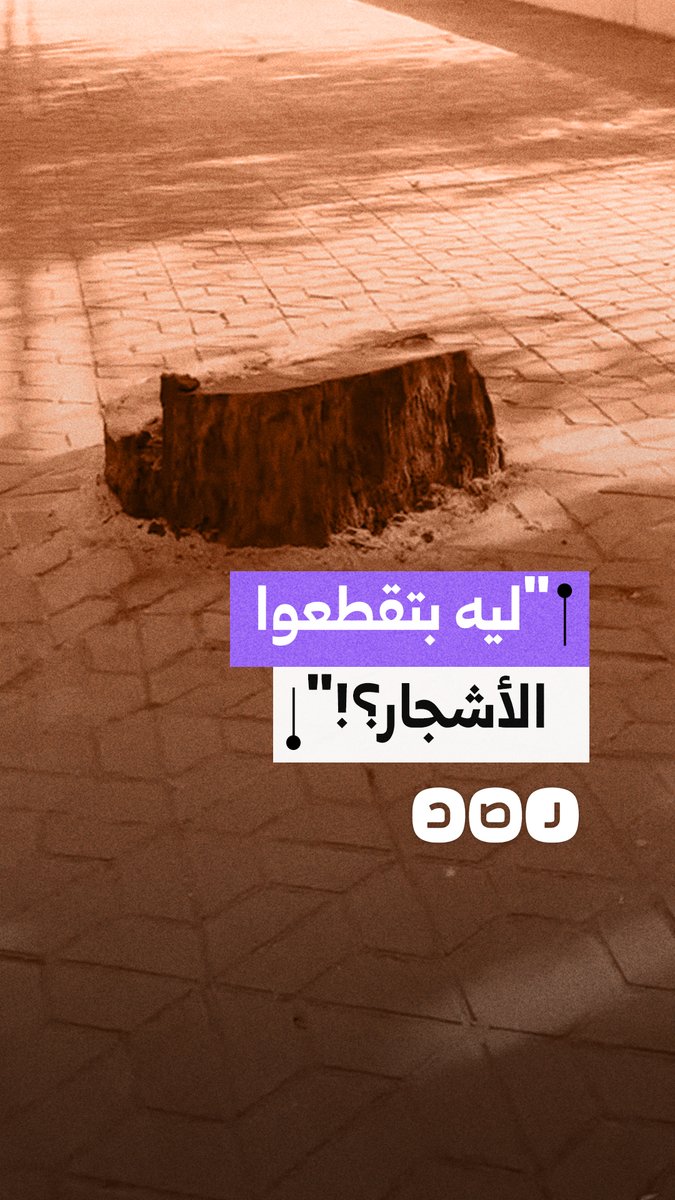 شاب ينتقد قطع الأشجار القديمة أمام حديقة الحيوان ويطالب المسؤولين بتوضيح أسباب الإزالة