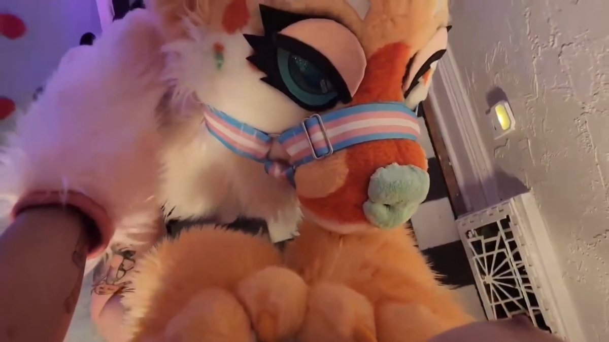 Realized I never uploaded the full set so enjoy a full 3:16 of Lilia Green AD 🔞 having her way with me #Furry #fursuit #murrsuit #doggystyle #creampie