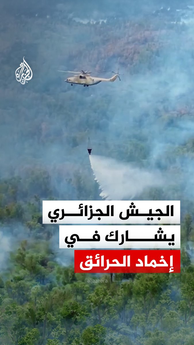 الجيش الجزائري يشارك في إخماد الحرائق بولايتي جيجل والطارف #فيديو