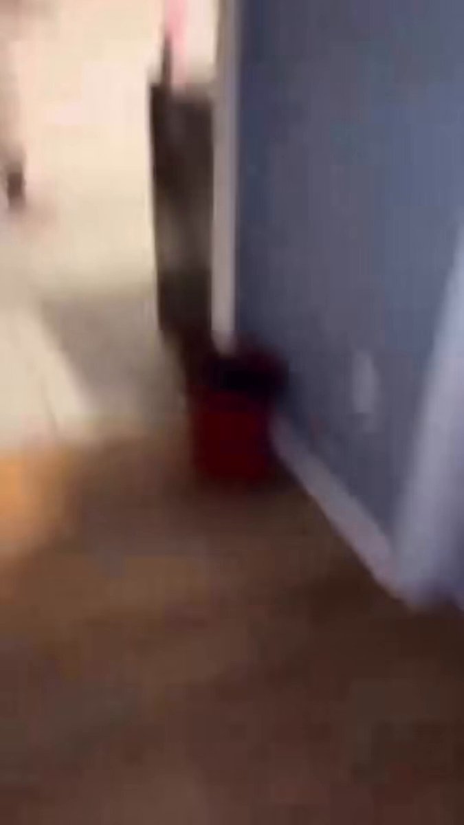A daughter with braids gets into a physical fight with her mom while friends watch and record. What's going on with this generation of kids? We need to do better.