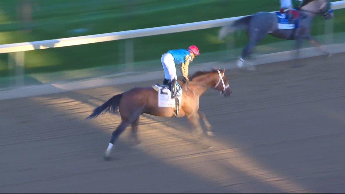 It’s Wathnan’s G1 Travers Stakes! 👏 LEADING CHANGE, at just his third career start, wins the Midsummer Derby Saratoga Race Course for Manuel Franco 🏇🏽 and Brad H. Cox Racing! Another Breeders' Cup Classic contender? 🇺🇸