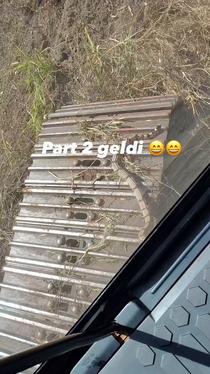 Bir operatör, gittiği kazım çalışmasında denk geldiği yılanı kayda aldı. Yılanın agresif hareketleri tehlike saçtı: