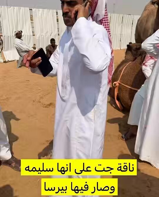 باع ناقته ب 12 الف وطلع فيها بيرسا وتراجعت قيمتها ل 8 الآف أهل الابل اللي عندهم علم وخبره في الأمراض وش هي البيرسا
