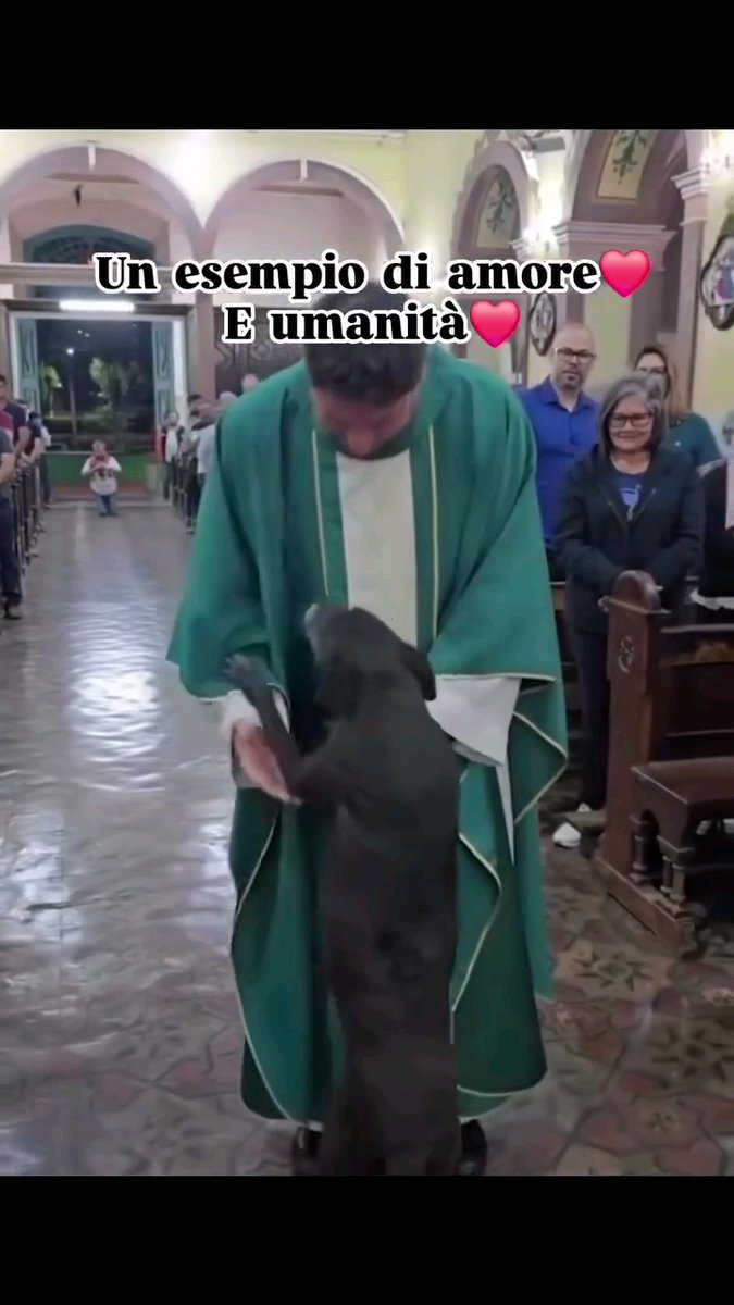 This old dog refused to let this priest go at Mass until the priest had to bless it with holy water😩❤️.