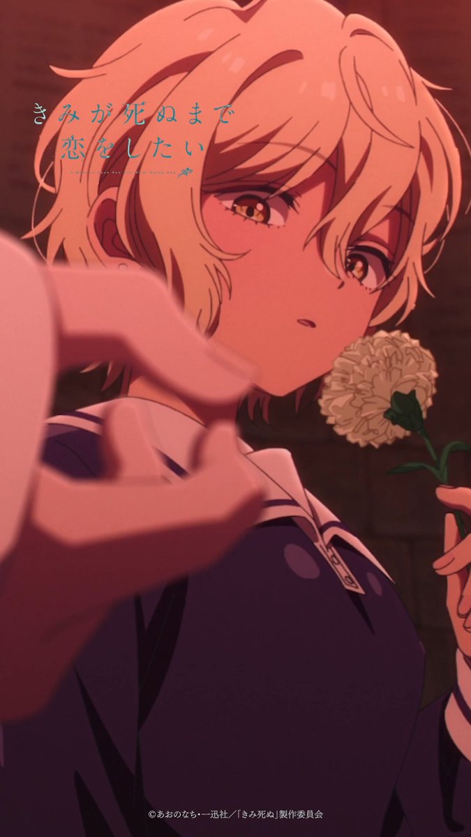 💐┈┈ #きみ死ぬアニメ 第8話ハイライトvol.3 ┈┈🪄 ──セイラン、きっと怒んないよ dアニメストア・U-NEXT・アニメ放題ほか 各サイトにて第8話「ただいま」配信中!