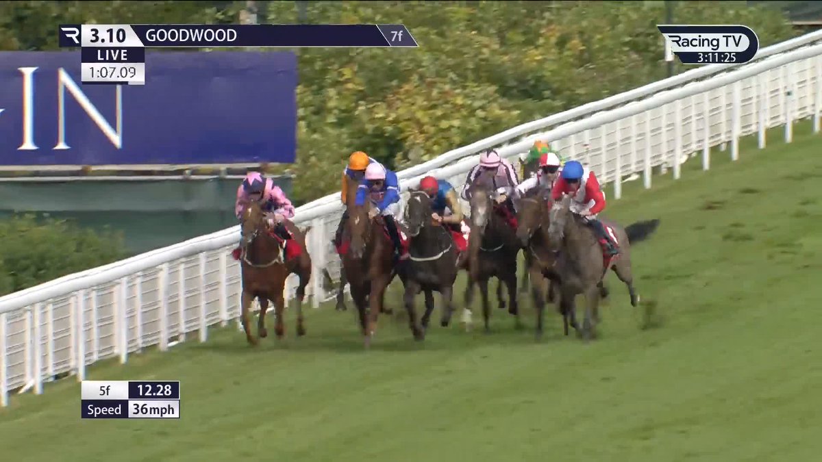 🤩 Group Three honours for Light Of Dawn (Showcasing) in the Virgin Bet Prestige Fillies' Stakes Goodwood Racecourse 👏 Karl Burke | James Doyle