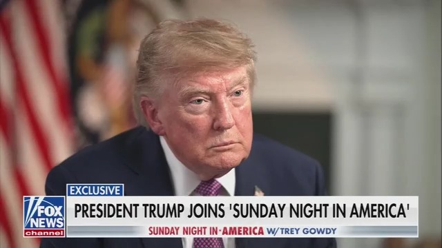 Fox to Trump: You just showed me a construction project. And I saw as much joy with you doing that as I've ever seen