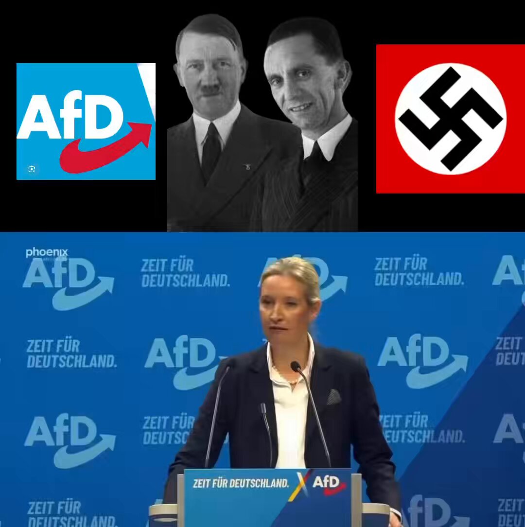 This is Alice Weidel, leader of Germany’s far right AfD party. 🇩🇪⚠️ She just promised “the largest deportation operation in German history”, sounds familiar? Listen to her speech. Close your eyes and just listen, she sounds like Hitler. Open them and listen/read to what she is promising, and the historical analogy becomes even more disturbing. Hitler had his “Final Solution” for Jews. First came propaganda, exclusion and deportations. Then came Nazi death camps and extermination. I am not saying Weidel is planning another Holocaust. I am saying that when a German far right leader starts promising the largest deportations in German history, Germany should remember where this kind of politics once led. History doesn’t have to repeat itself exactly to fucking rhyme, but it definitely sounds like it. Open your damn eyes Germany and the EU, you don’t want another holocaust. Ps. She is also a big fan of Putin and Russia, do you folks remember a Ribbentrop- Molotov pact?