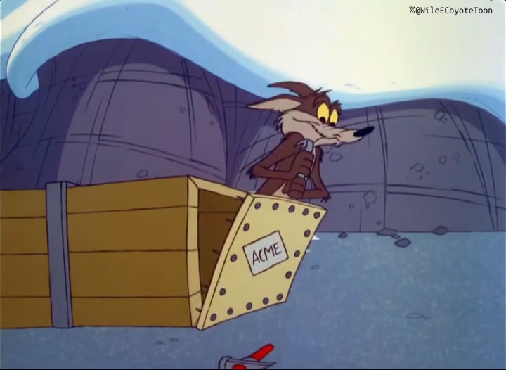 So excited about the new package delivered straight from ACME
