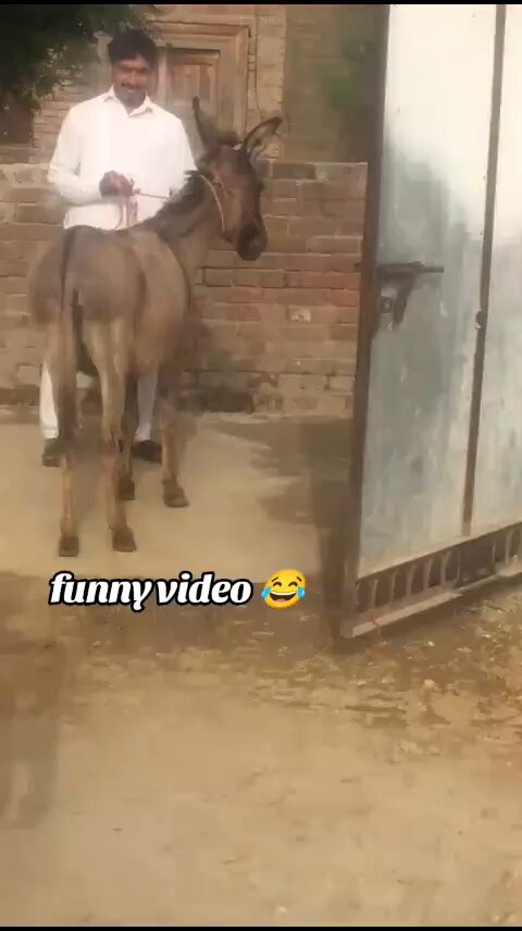 ہاہاہا 😅 جس یہ ویڈیو نہیں دیکھی، وہ پیدا ہی نہیں ہوا 😂