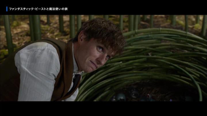 『ファンタスティック・ビーストと魔法使いの旅』 見放題配信中💼 ハリポタワールド、その秘められた過去に迫る! 魔法動物学者〈ニュート〉が 1920年代のニューヨークで大冒険✨ #プライムビデオでホグワーツに入学
