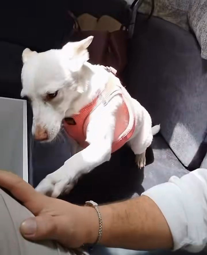 الاهتمام لا يطلب لينا: