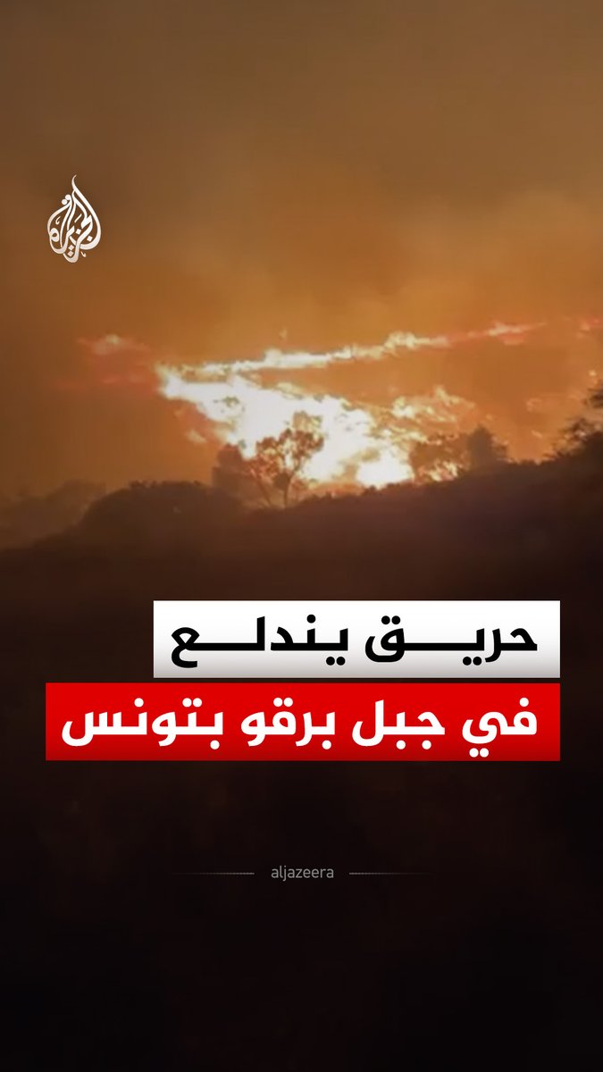 مشاهد لاندلاع حريق في منطقة غابات بجبل برقو في ولاية سليانة شمال غربي تونس، وتصاعد ألسنة اللهب وأعمدة الدخان من المنطقة #فيديو