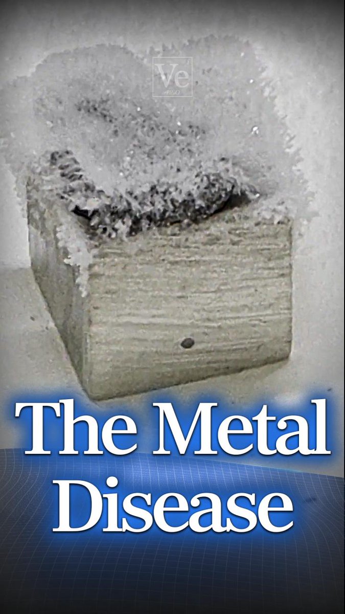 The Disease That Eats Metal #veritasium #science #physics #polymorph