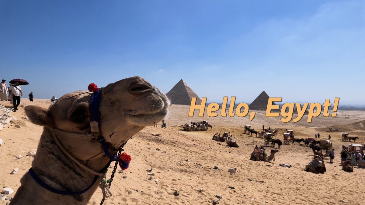 Chinese President #XiJinping will pay a state visit to Egypt at the invitation of Egyptian President Abdel-Fattah al-Sisi. The Egypt leg of Xi's trip, his first state visit to the country in a decade, coincides with the 70th anniversary of bilateral diplomatic ties. #ChinaEgypt