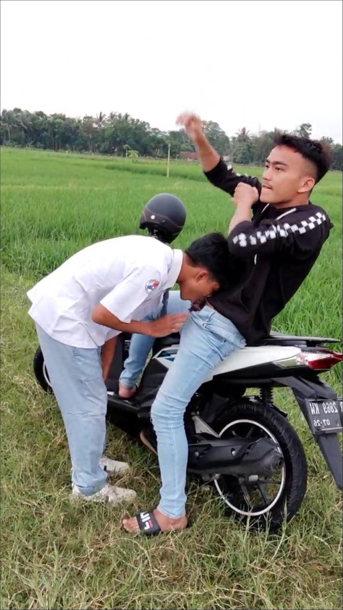 yang cek koleksinya