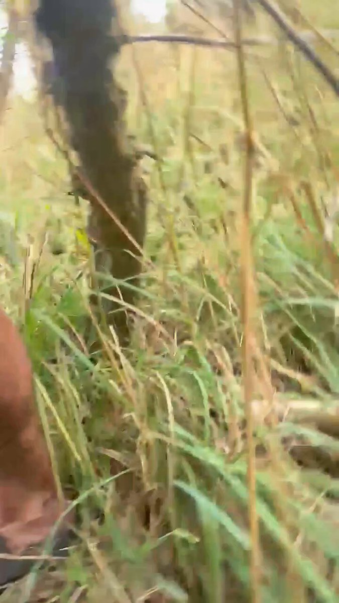 We need to connect with nature #woodsex #ftm #creampie