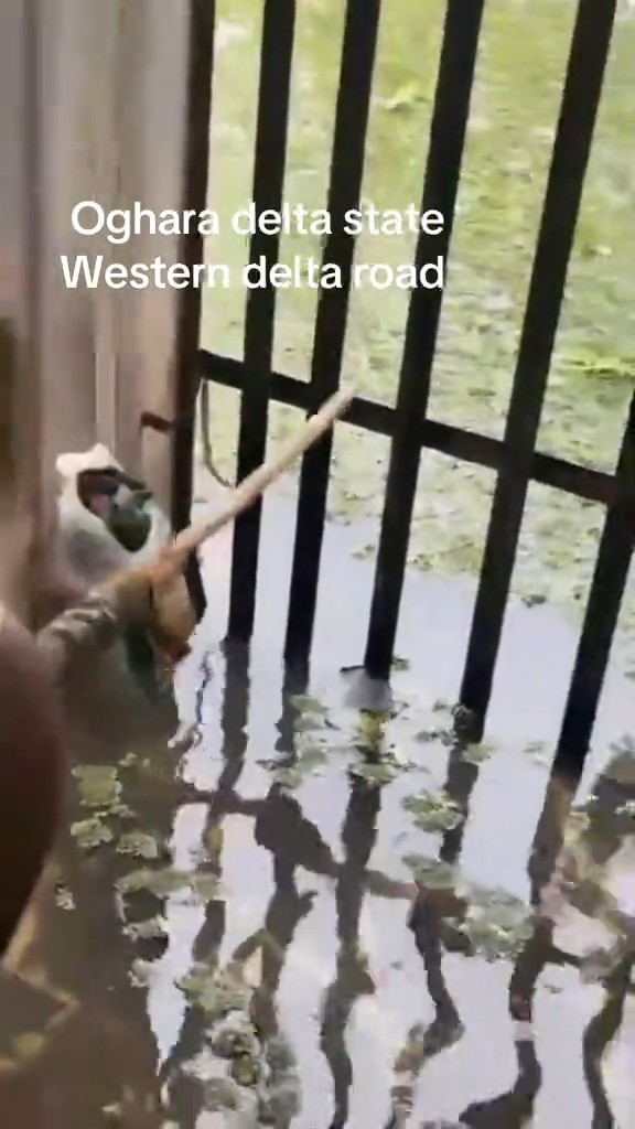 Lady cries out after flood takes over her residential area in Oghara, Delta State