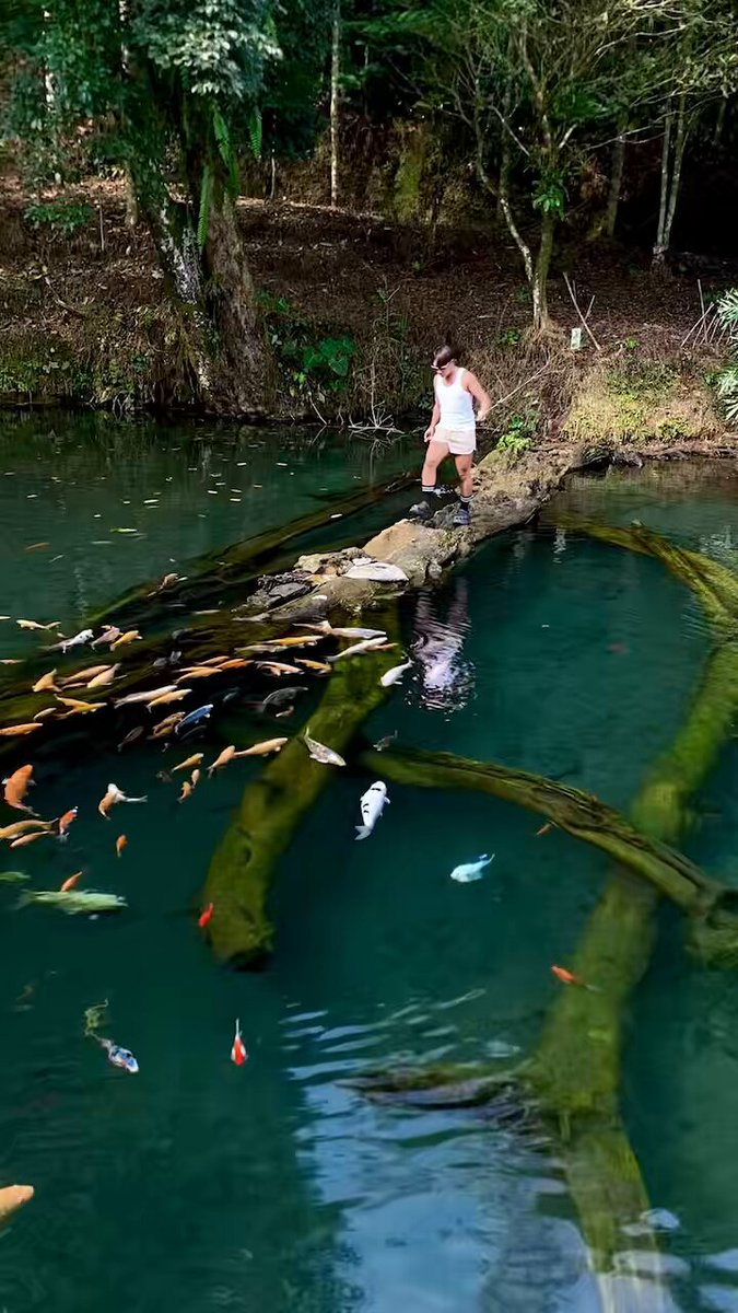 Seruu jugaa Hidup di Desa 🌳🍃🧼🌲🌱🫧 . Btw Selain “Dilarang Pake Sempak” Hati Hati kalo Berenang disini karna Ikan nya Ngokop bangettttt wkwk 🐟🐡🫍🐠🐬