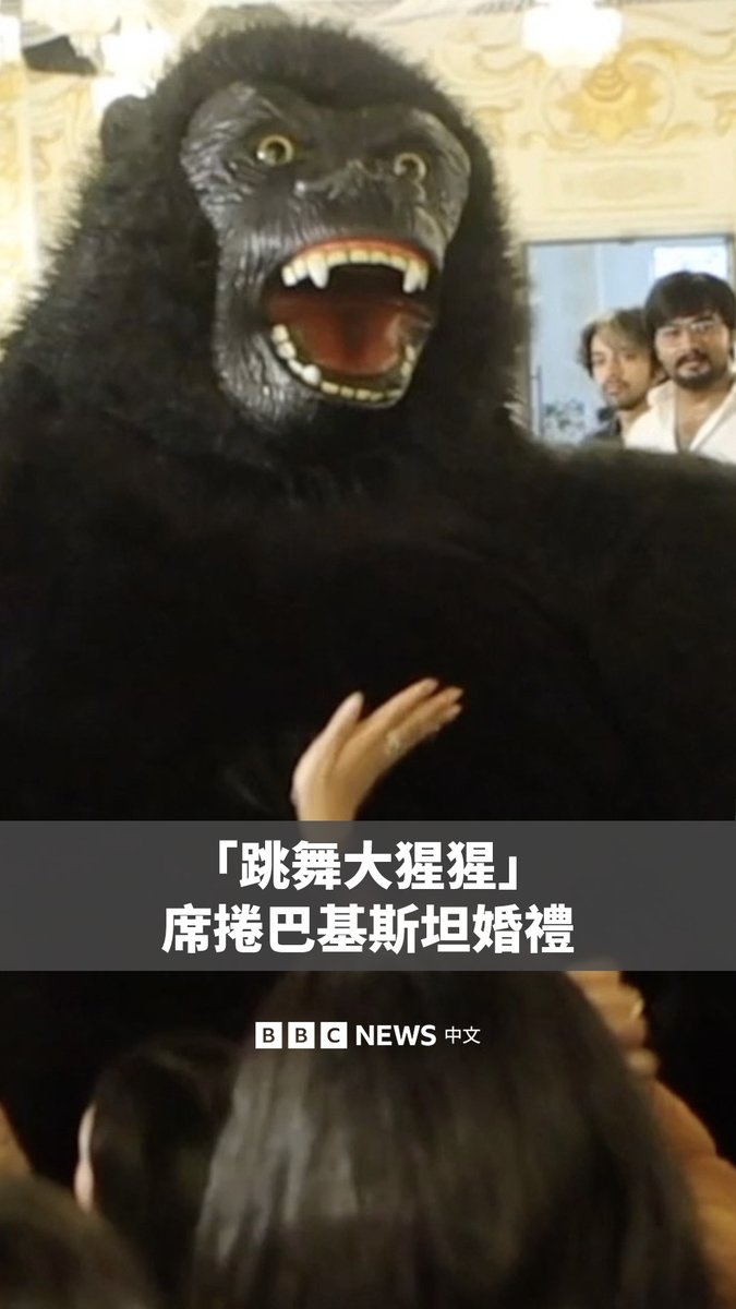 在婚礼上穿着大猩猩服装跳舞，已成为巴基斯坦一股席卷全国的爆红趋势。受到邻国印度网络影片的启发，活动策划人员开始进口巨型充气式大猩猩装，以满足日益增加的需求。 这些服装不仅用于婚礼，也出现在生日派对和其他年轻人的活动中。表演包括捶胸、跳跃，以及与人群一起在婚礼和活动舞池中跳舞。