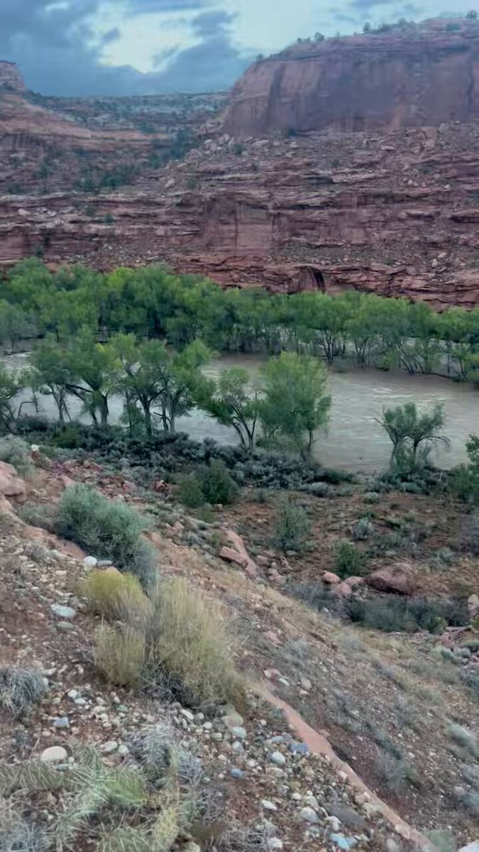 Calf Creek Falls near Escalante, Utah. Video from Ed Shakespeare.