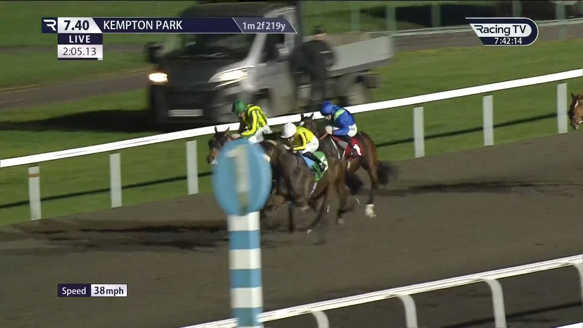 ✅️ MOMENT OF LIGHT, rated 81 on the flat and a two-time winner on the flat, has switched from James Owen to Dan Skelton. 👍 Juvenile hurdling awaits.