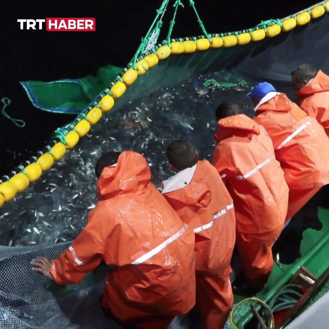 Denizlerde av yasağı sona erdi.