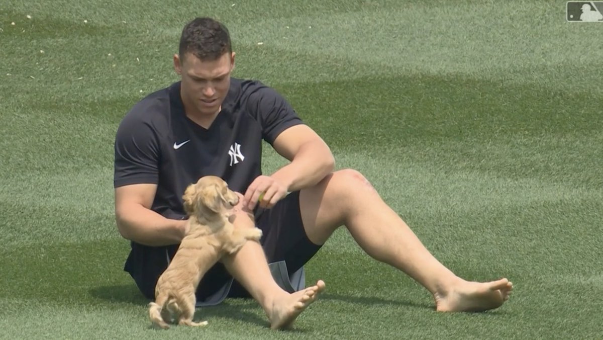 Aaron Judge playing with his dog in the outfield 🥹