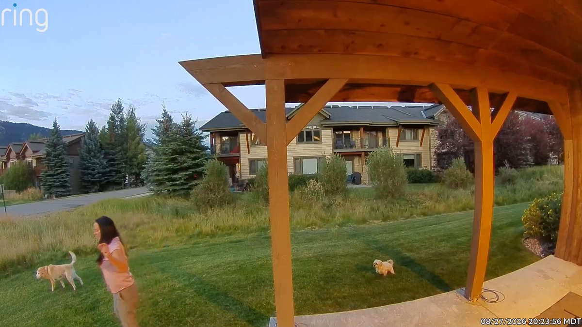 CLOSE ENCOUNTER WITH MAMA MOOSE: Check out this video of a close encounter a woman and her dogs had with a mama moose in Big Sky, Montana. Share Your Photos and Videos: