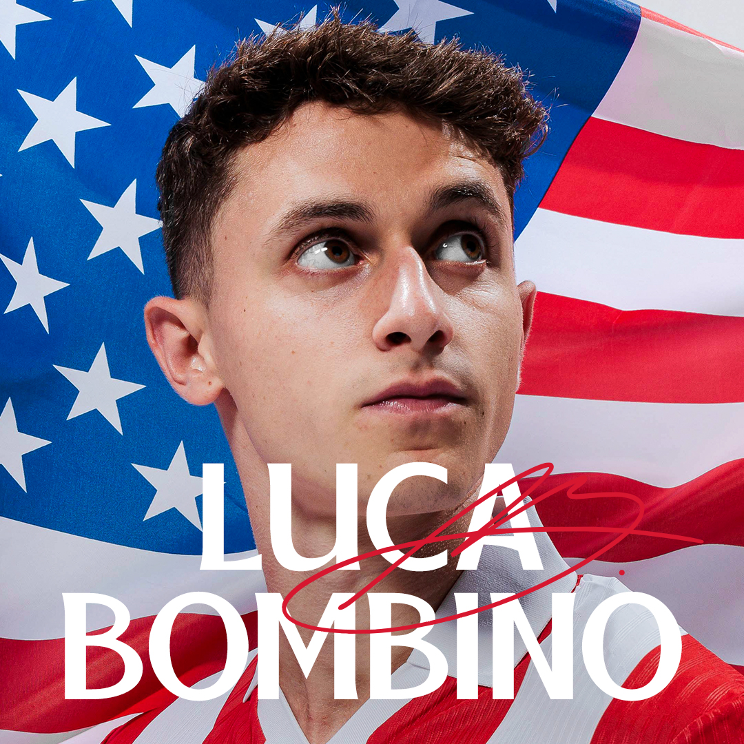 Hello Bombino 👋