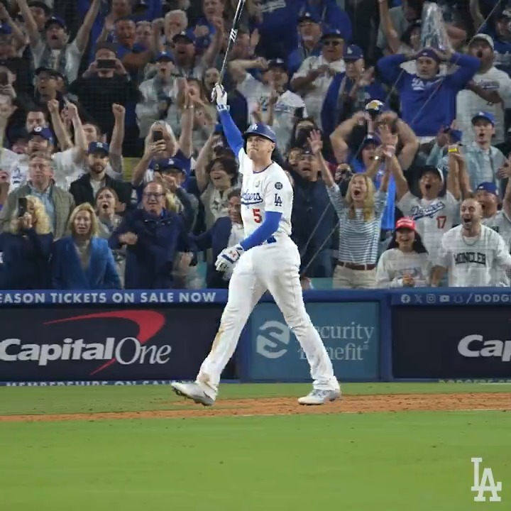 this shot of Freddie Freeman's walk off grand slam in the World Series is epic