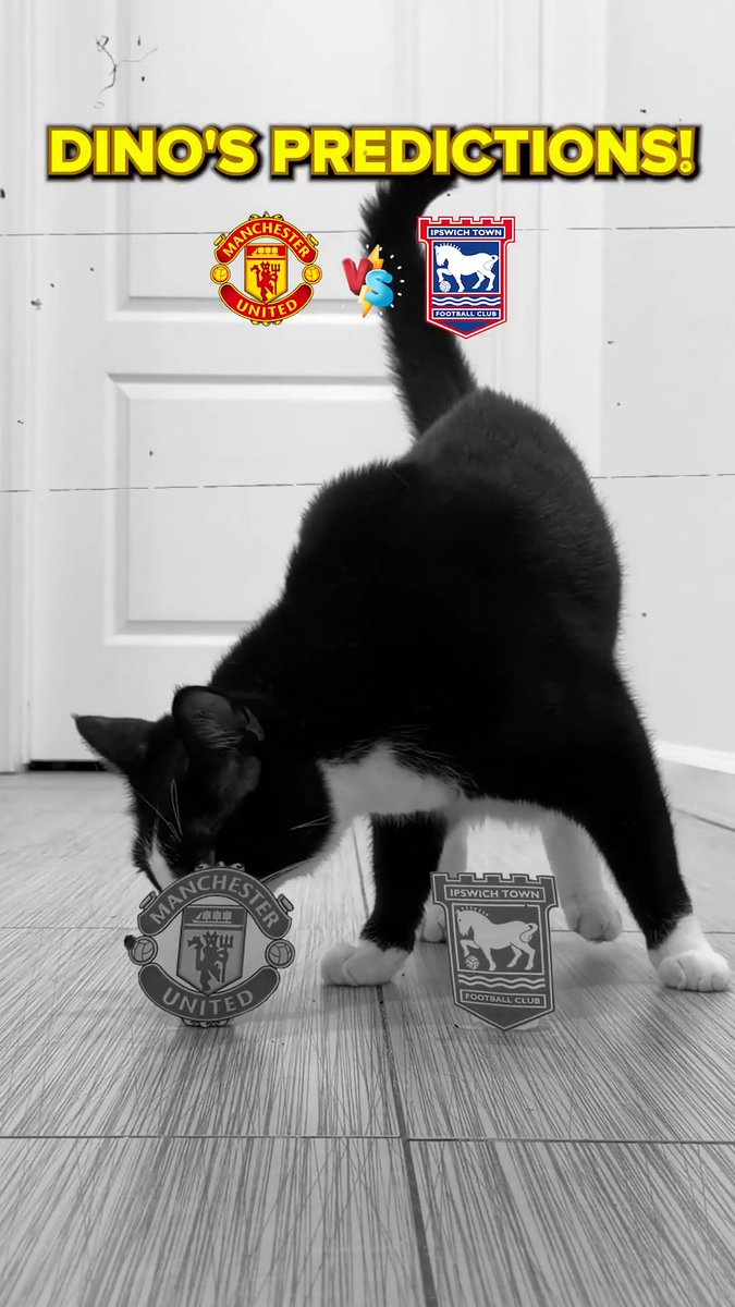 How did Dino get on with his weekend Premier League predictions? 🐈⬛🤔
