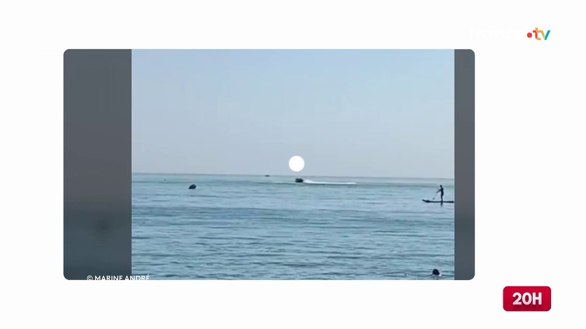 🇫🇷 FLASH | Les images de l’accident de bouée tractée qui a fait deux morts à Saint-Cyprien. Le bateau aurait été déséquilibré par les vagues, provoquant l’éjection de son pilote. Un homme de 31 ans et une femme de 29 ans sont décédés. Une troisième personne est grièvement blessée.