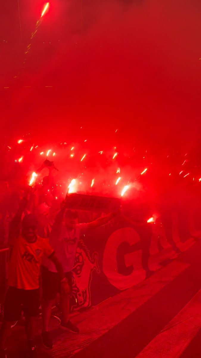🔥🚍 INCOMPARÁVEL! 🐔