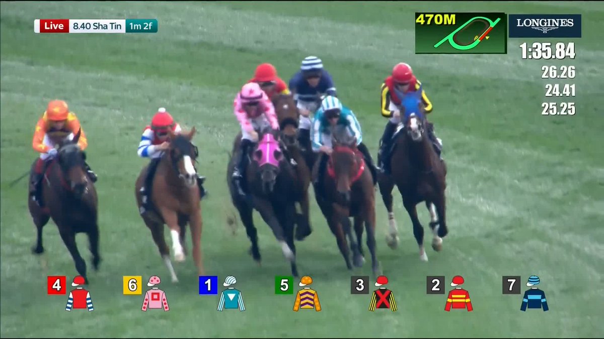 Happy retirement, Romantic Warrior! 🩵 Danny Shum's superstar - who won a staggering £28m+ in prize money throughout his career - has ran his final race...