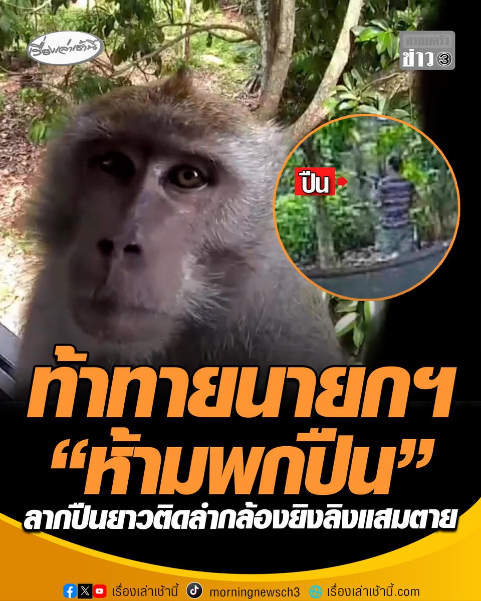 ท้าทายนโยบาย “นายกฯ หนู” ห้ามพกปืน หนุ่มหาดใหญ่ ลากปืนยาวติดลำกล้อง ยิงลิงแสมหลงฝูง เข้ากกหูตายอนาถ ทนายความสุดทน ขึ้นโรงพักแจ้งความดำเนินคดีถึงที่สุด ลั่นจะเป็นปากเสียงให้สัตว์เหล่านี้เอง #เรื่องเล่าเช้านี้ #ครอบครัวข่าว3 #ข่าวภูมิภาค #สงขลา #ห้ามพกปืน #ยิงลิงแสมตาย