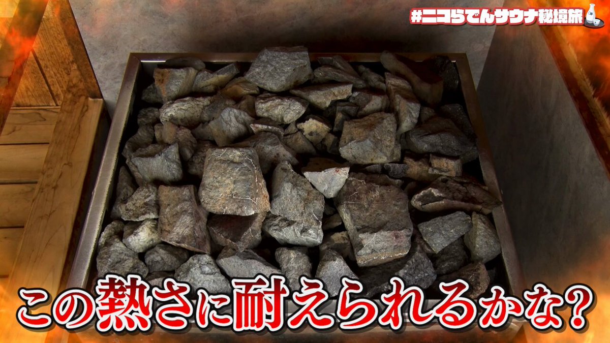 ニコらでんサウナ秘境旅！ 動画投稿もしました～！🐯🐚 ぜひご覧ください✨