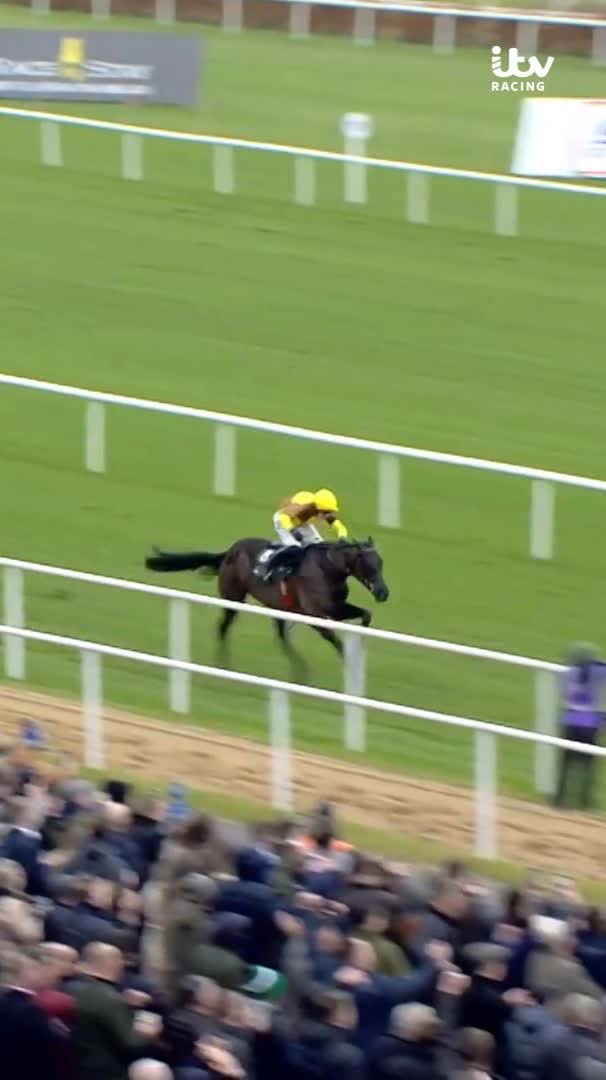 Following the sad news of Galopin Des Champs’ passing this week, we’re remembering an unforgettable day at Leopardstown 💛