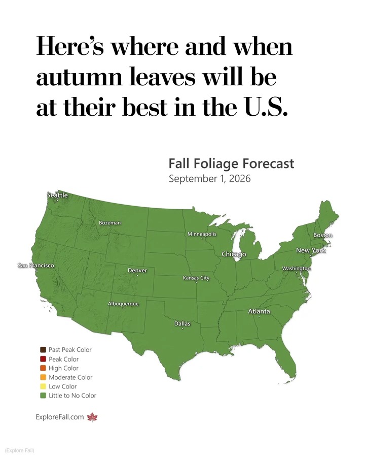 To predict fall foliage peaks, Evan Fisher created Explore Fall, an interactive site that uses weather data and user reports. For fall adventures, travel experts recommend destinations like the Blue Ridge Mountains and northern New Mexico.