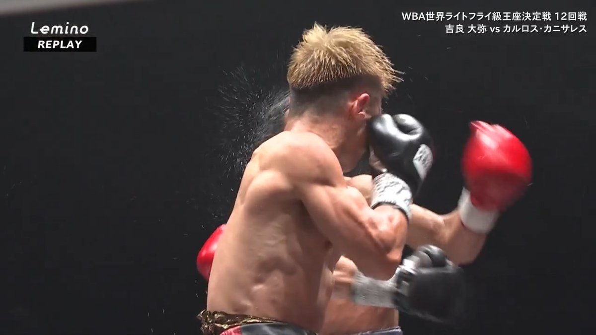 // Lemino BOXING ダブル世界タイトルマッチ メインハイライトをお届け🥊 \\ WBA世界ライトフライ級王座決定戦12回戦 #吉良大弥 vs #カルロス・カニサレス 見どころをLemino公式YouTubeで公開中📡 >> 試合は見逃し配信でご覧いただけます💪 🛎|