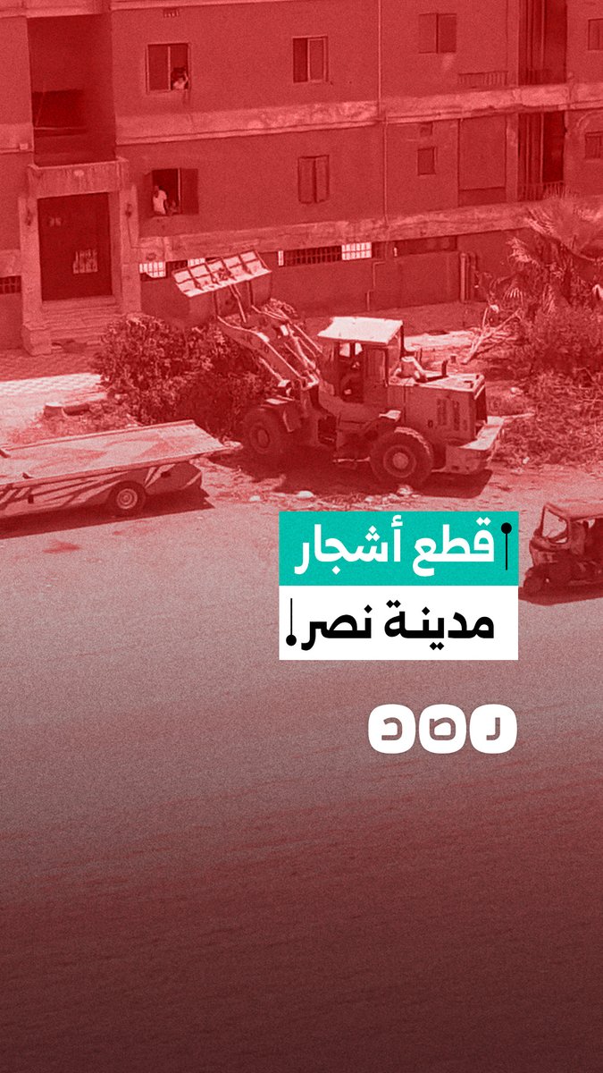 قطع أشجار 14 عمارة بمدينة نصر في القاهرة يثير غضب السكان