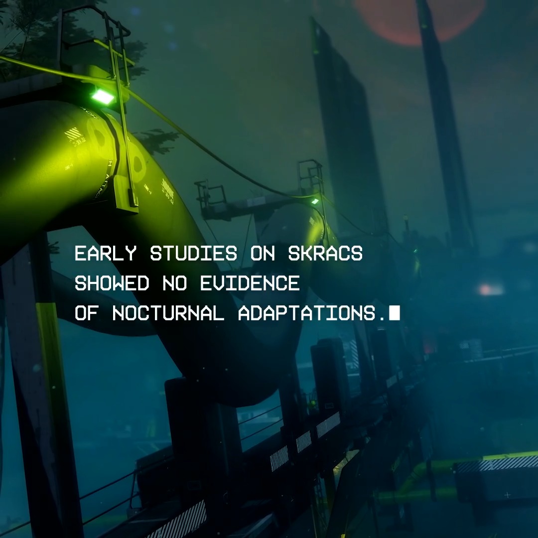FILE TYPE: Archived Log PERIOD: Colony Era TOPIC: Biological Survey, Tau Ceti SUMMARY: A recovered early survey of one of Tau Ceti's avian species.